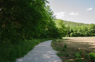 Bethel Spring Recreational Preserve Trail System
