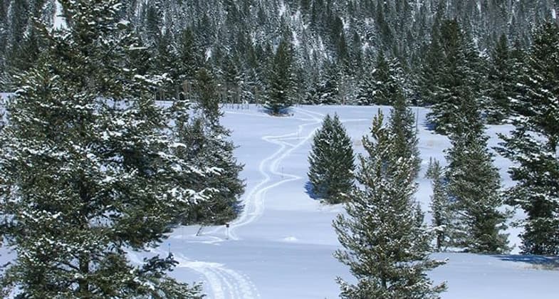 Snowshoe walk at Refuge Point. Photo by USFS-Custer Gallatin NF.