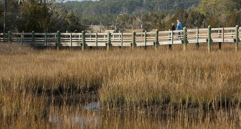 Tideland Trail at Cedar Point Recreation Area in the Croatan National Forest, North Carolina. Photo by USFS.