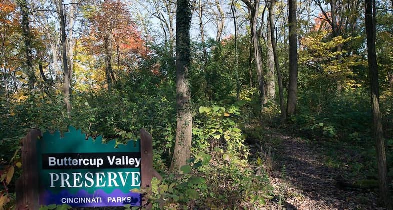Buttercup Valley Preserve sign. Photo by Cincinnati Parks Foundation.