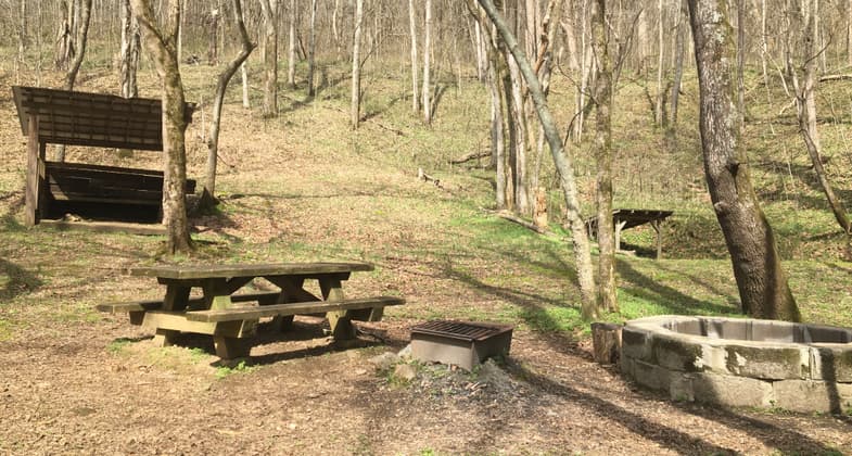 Two Prong primitive camping site located along the trail. Photo by Donna Kridelbaugh.
