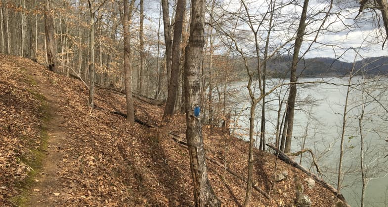 The hiking trail traces the shoreline of Cordell Hull Lake and is blazed in blue dots. Photo by Donna Kridelbaugh.