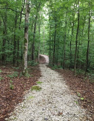 The trail gently winds through a reforested landscape and has a crushed rock surface. Photo by Donna Kridelbaugh.