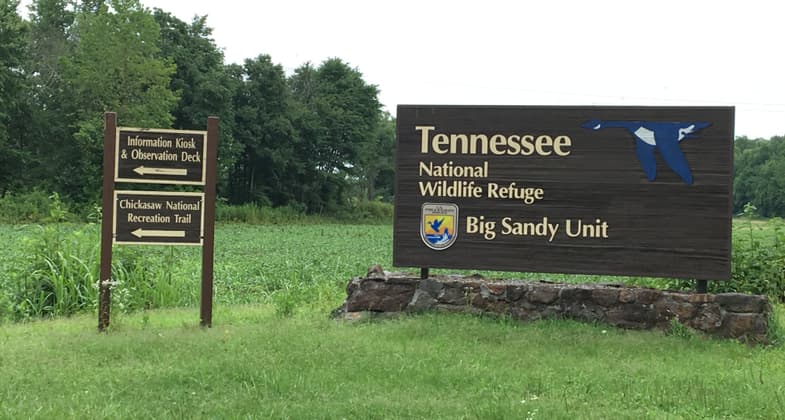 Entrance to the Big Sandy Unit of the Tennessee National Wildlife Refuge. Photo by Donna Kridelbaugh.