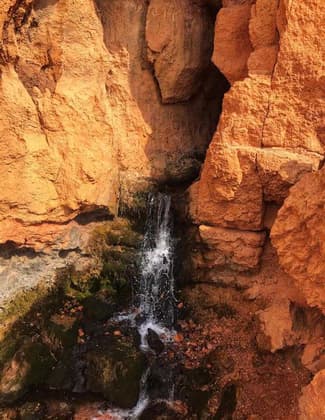 Falls coming out of the sandstone. Photo by Pam Riches.