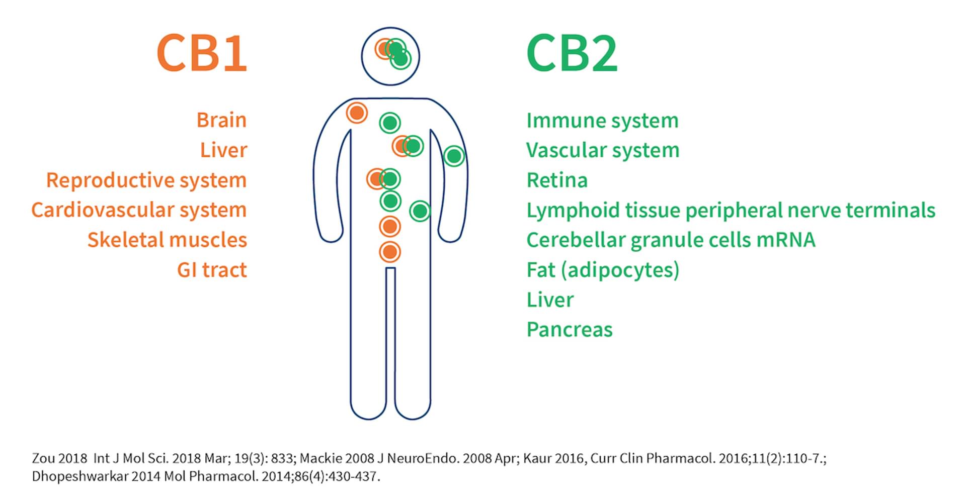 Thc In Her System Cannabinoids in healthcare – what's the science,… | Neurology Academy
