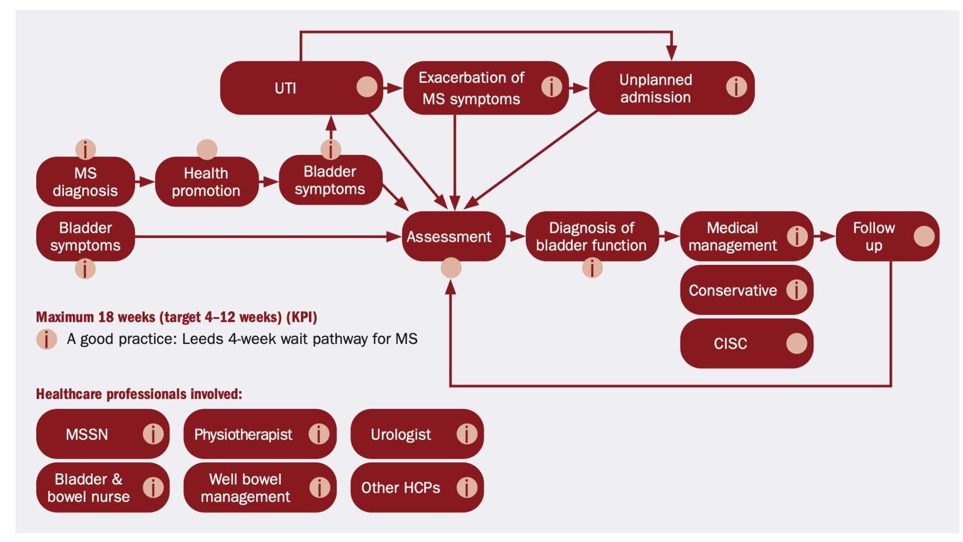 New consensus pathway for bladder and bowel in MS… | Neurology Academy