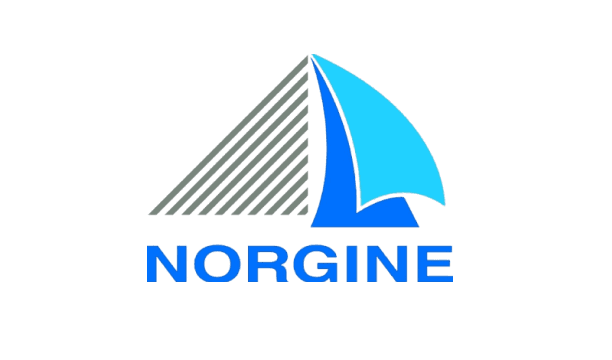 Norgine logo