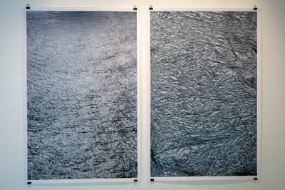 Tomorrow’s View (diptych)