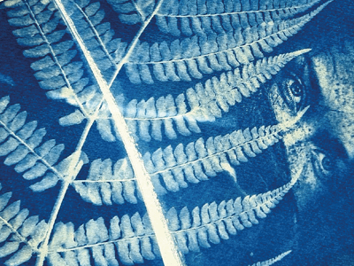 Brilliance in blue3