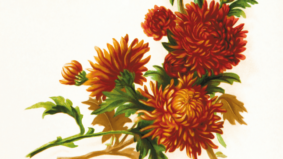 Painting flowers1