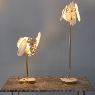 Coral Sun Shop Lamps 2