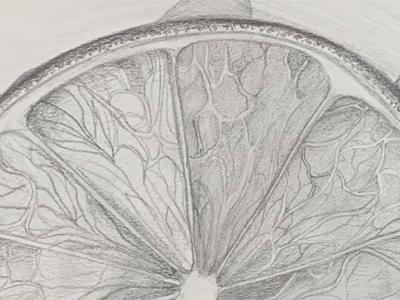 Drawing from Observation Zahra 3