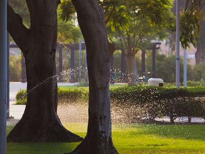 Water Fountain