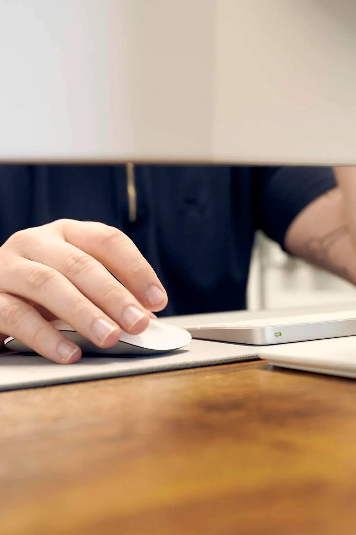 Natterjack Oct2024 19