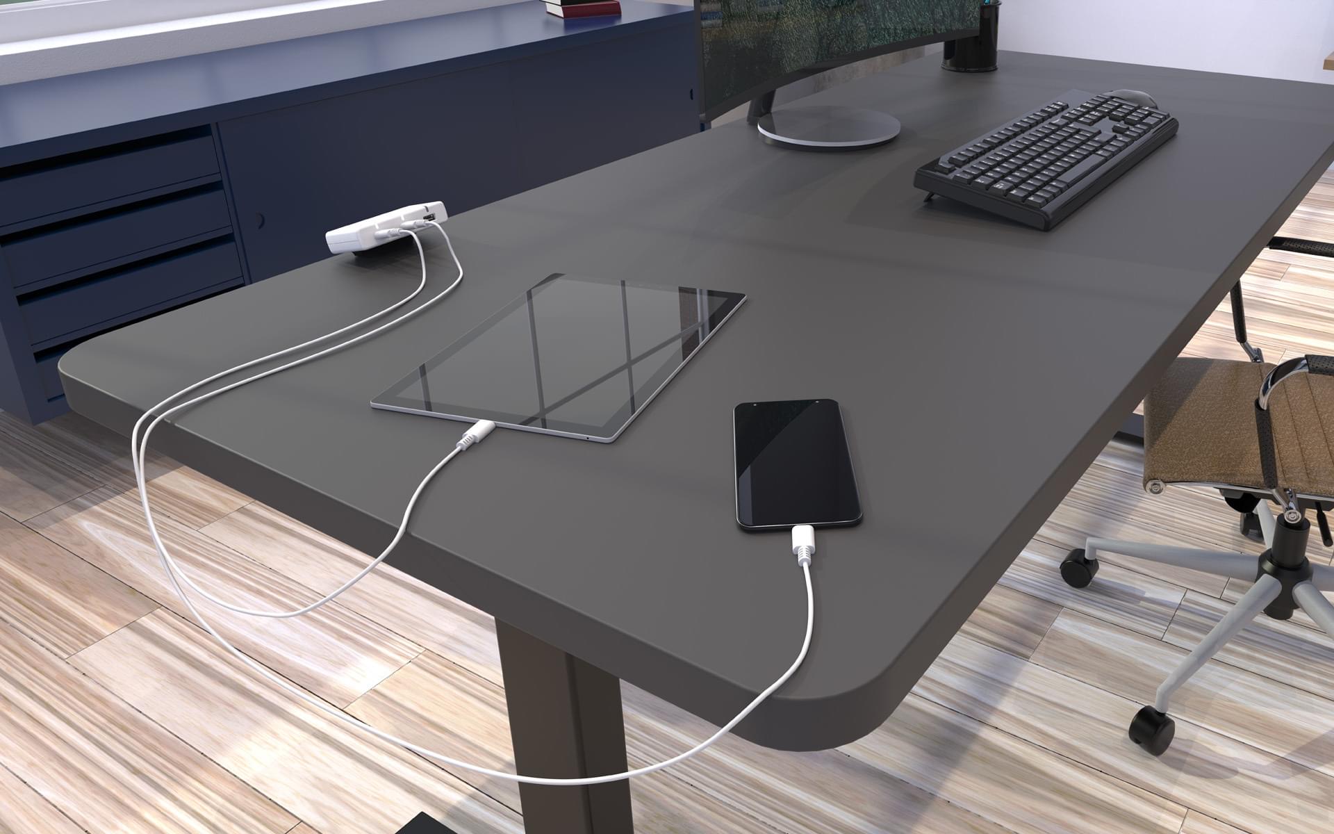 LINAK U S Inc Desk2 Device USB Charger 2