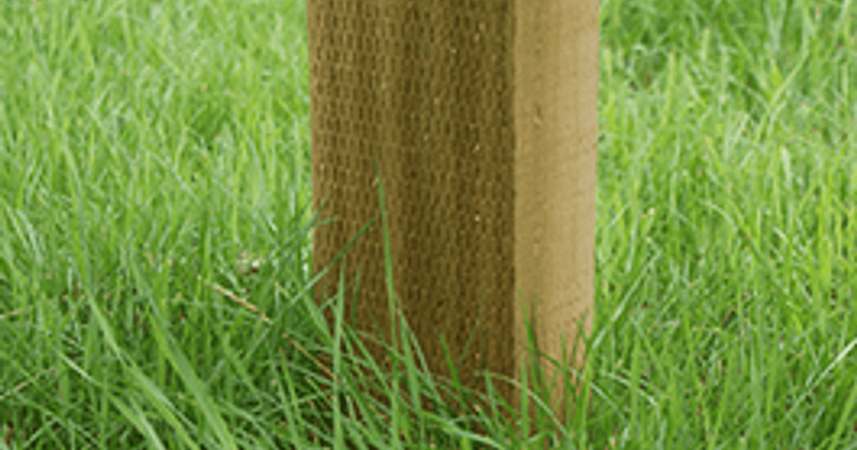Wooden Fence Posts | Timber Fence Posts | Walford Timber Ltd