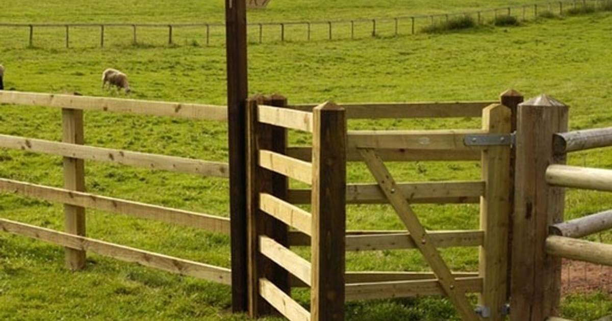 Simple Paddock Gate Creating Perfect Paddocks | Walford Timber - Cheltenham Branch