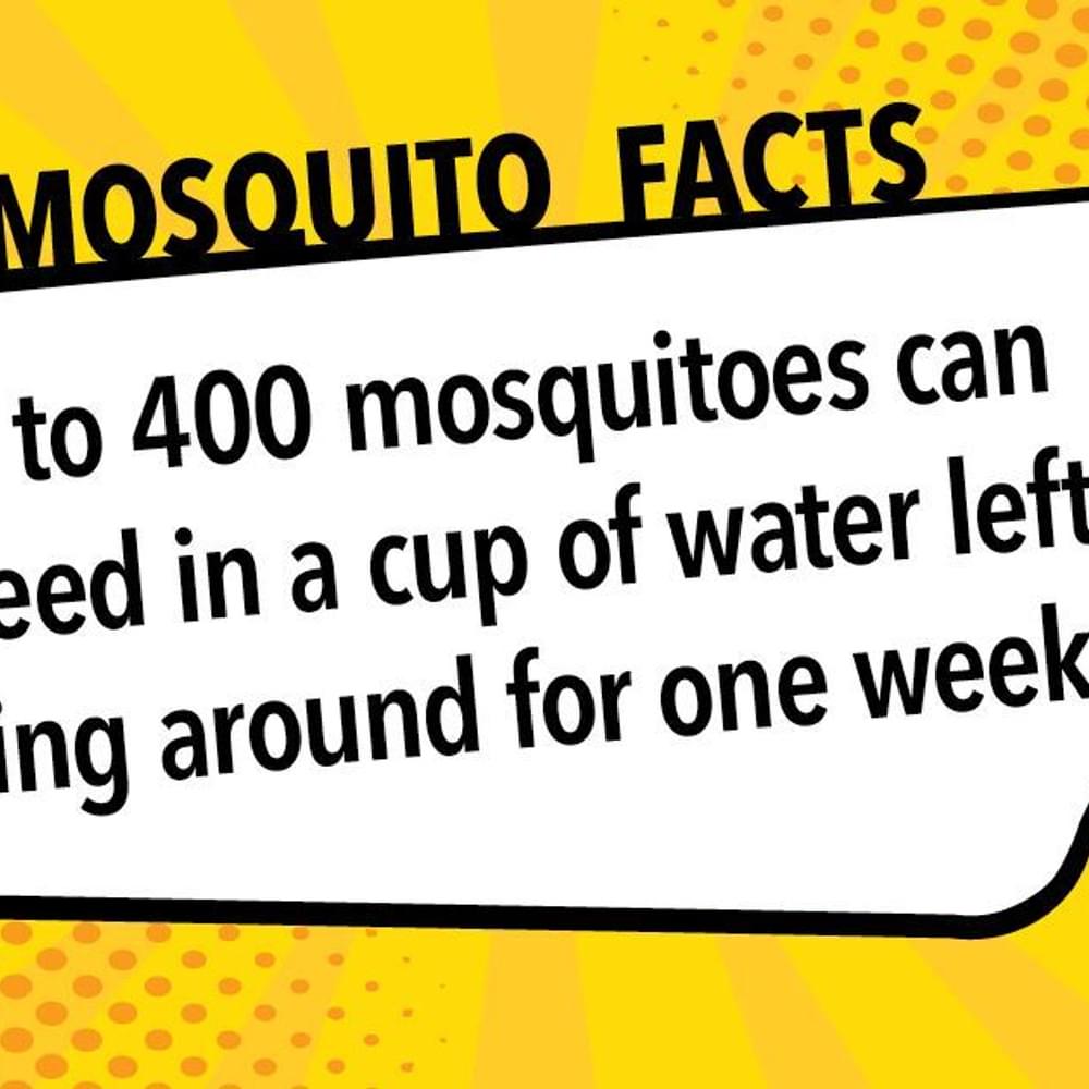 Things you probably didn't know attract mosquitoes