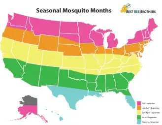 Mosquito Months