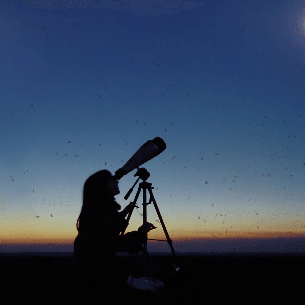 Keep Mosquitoes at Bay During the Solar Eclipse