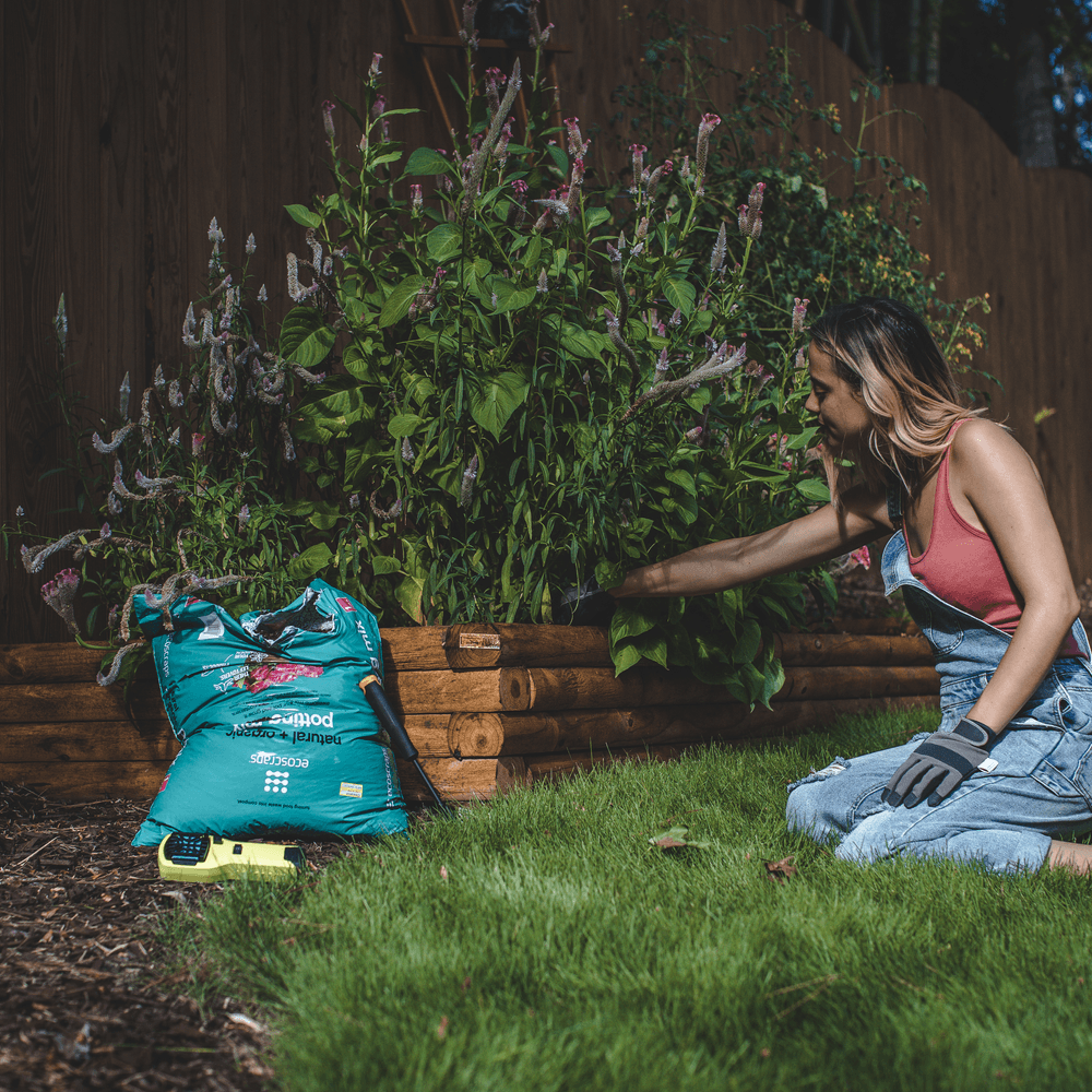 Keep Mosquitoes Away from Your Spring Fun: Natural Approaches