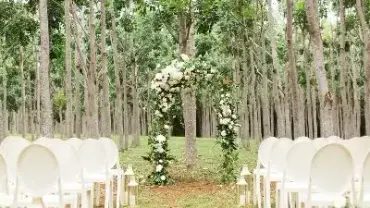Thermacell wedding blog