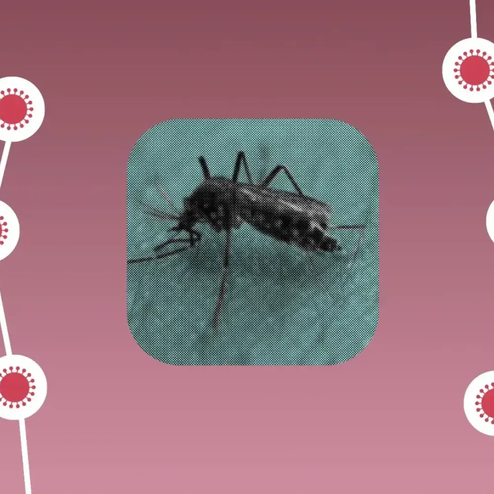 MOSQUITOES DO NOT CARRY COVID-19