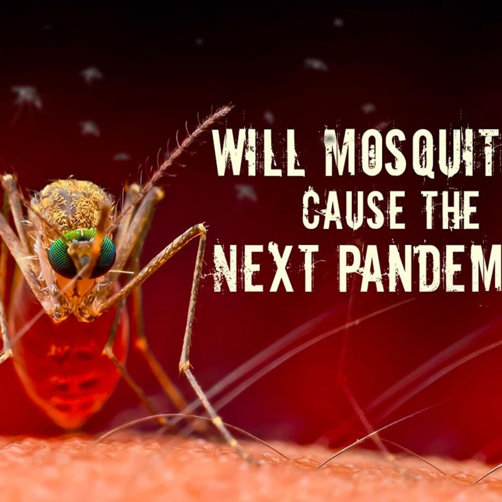 Buzzing Threats: The Impending Peril of Mosquitoes in North America's 2024 Season