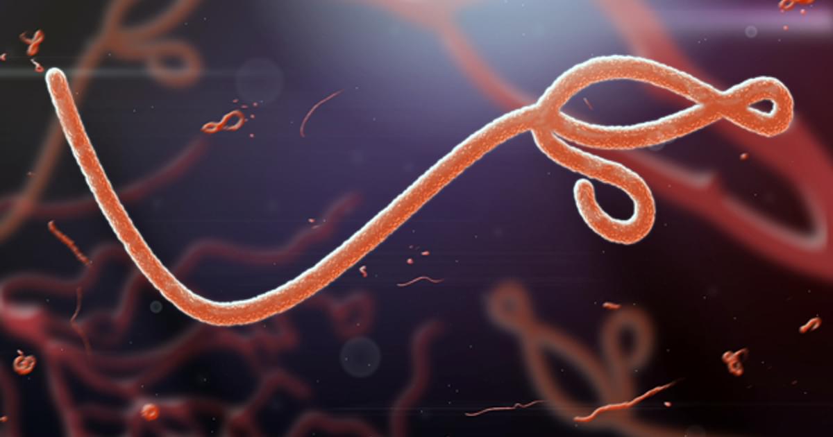 Ebola Is It Back NOBLE ebola-is-it-back-noble
