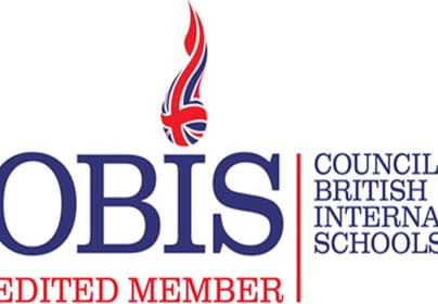 COBIS logo web banner 4