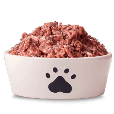 Chunky Mince in dog bowl Cut out