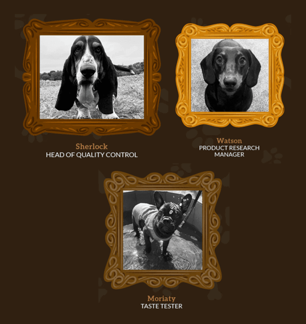 Dogs