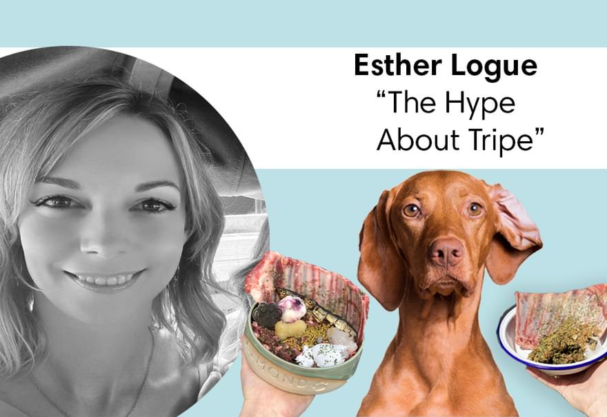 Esther Article The Hype about Tripe