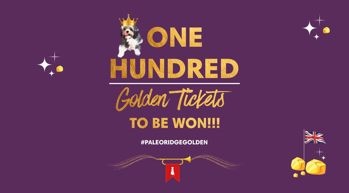 Paleo Ridge Golden Ticket Website Banner