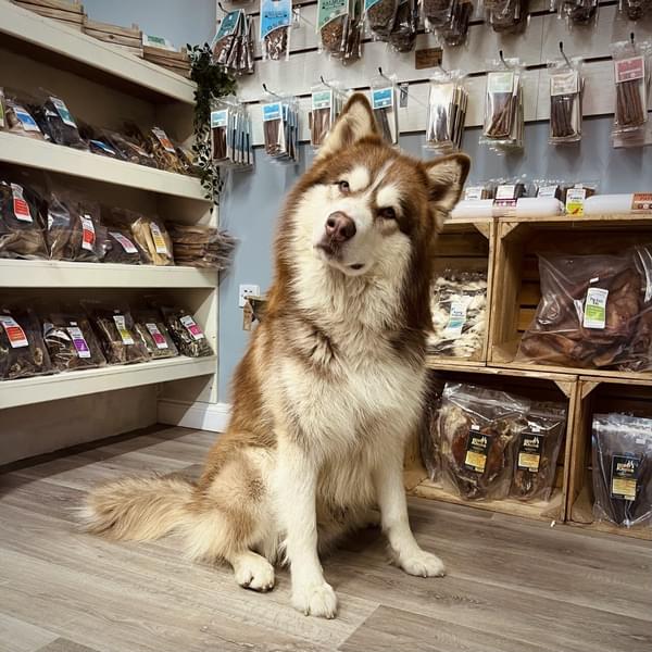 Murph Shop Pic