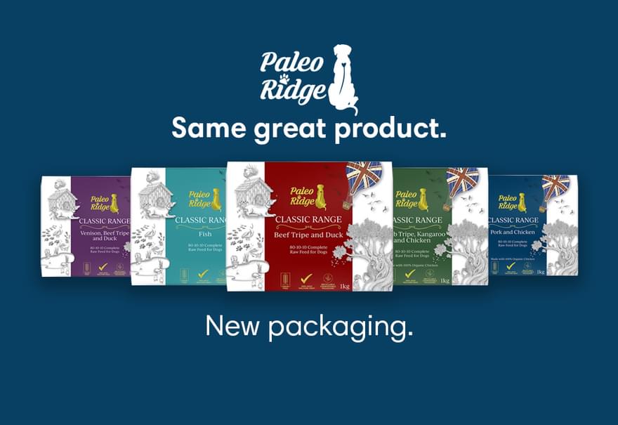 New Packaging News Item