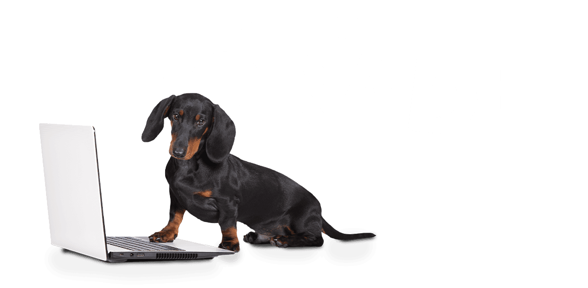 New Website Incomming