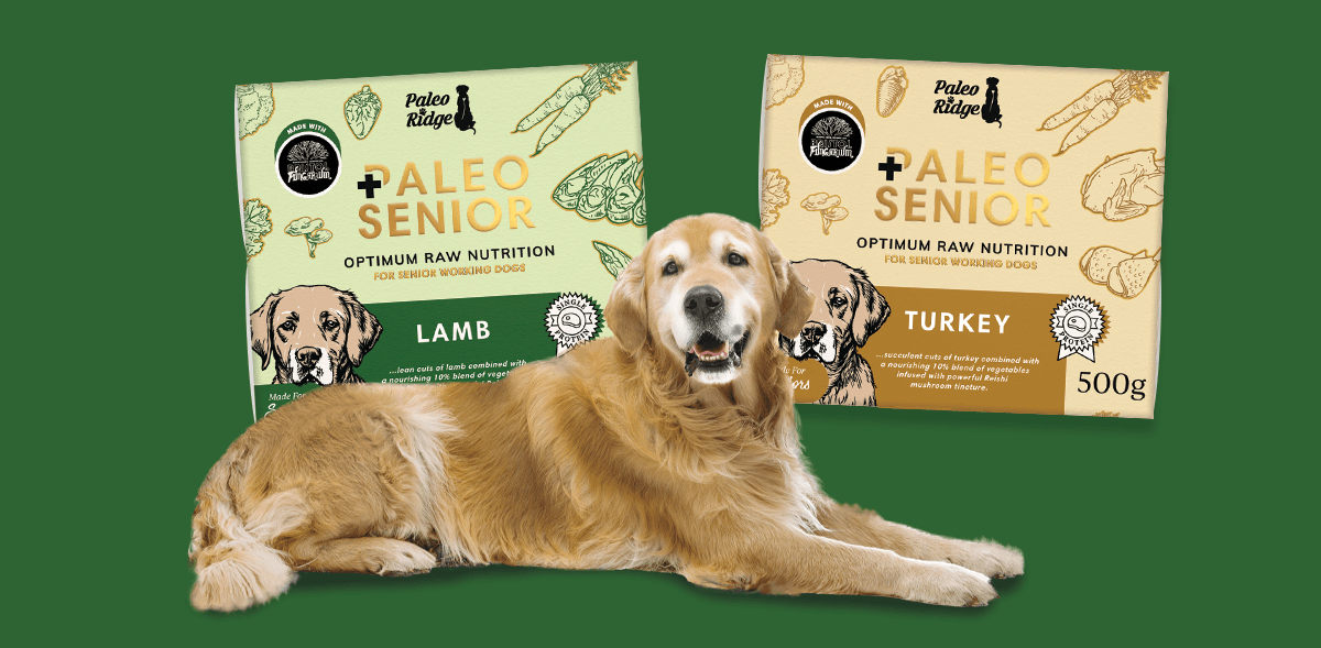 Paleo Ridge | Premium Raw Dog Food | 20% off 1st Two Orders