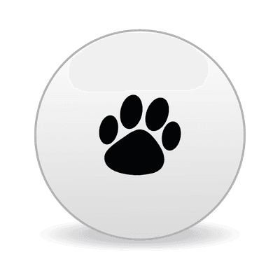 Paw Print