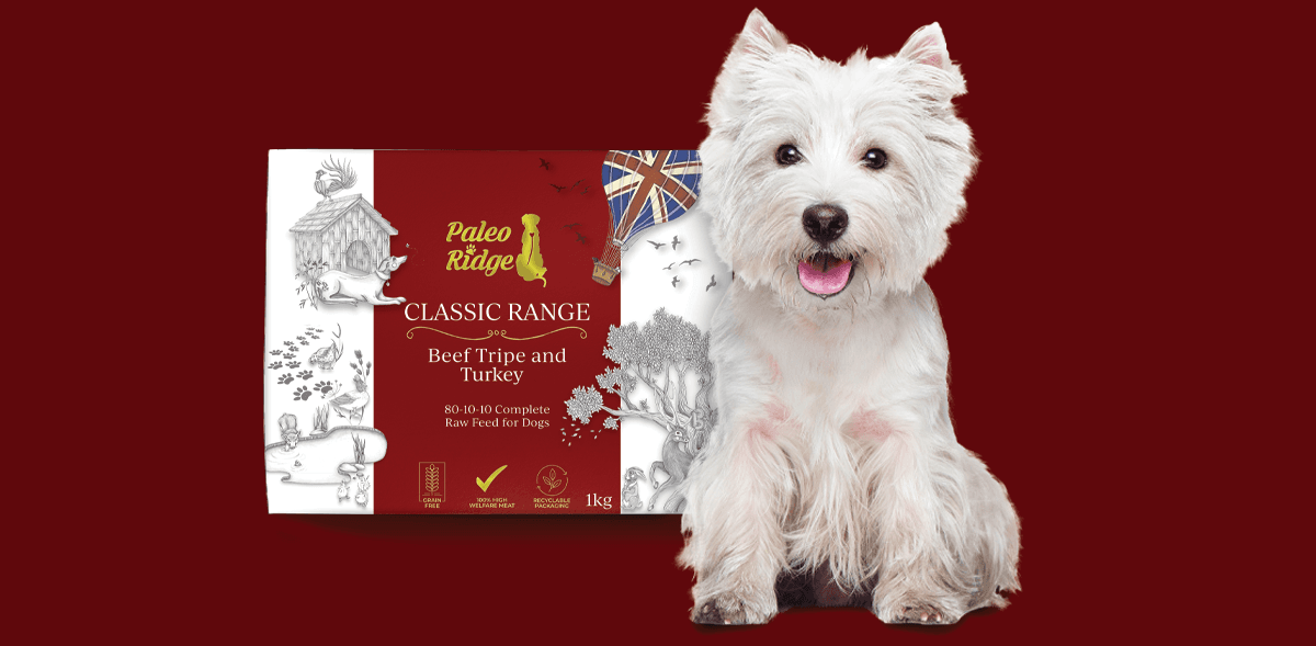 Paleo Ridge Premium Raw Dog Food 20 Off 1st 2 Orders