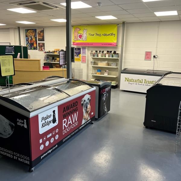 Shop pic 1 1