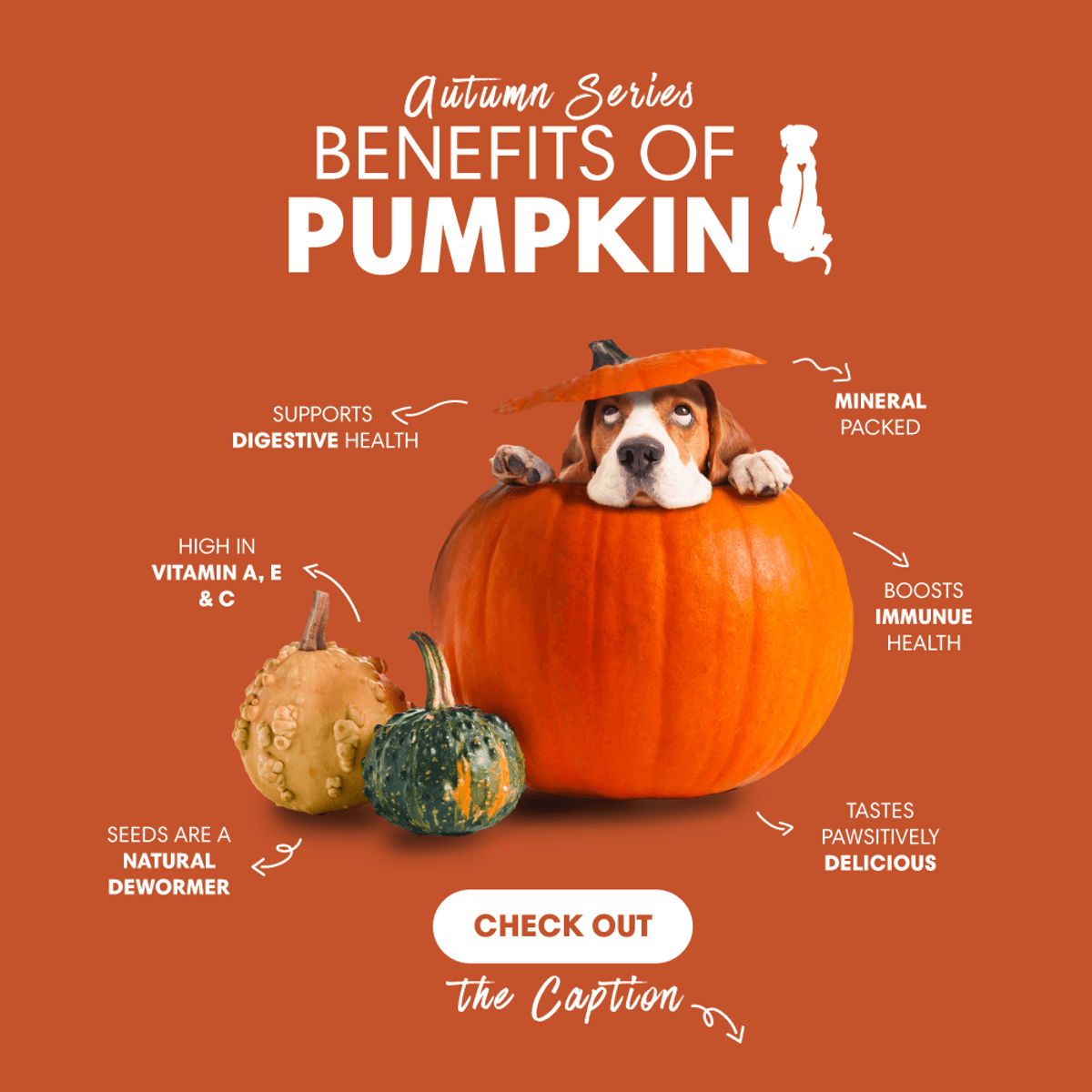 Benefits of Pumpkin