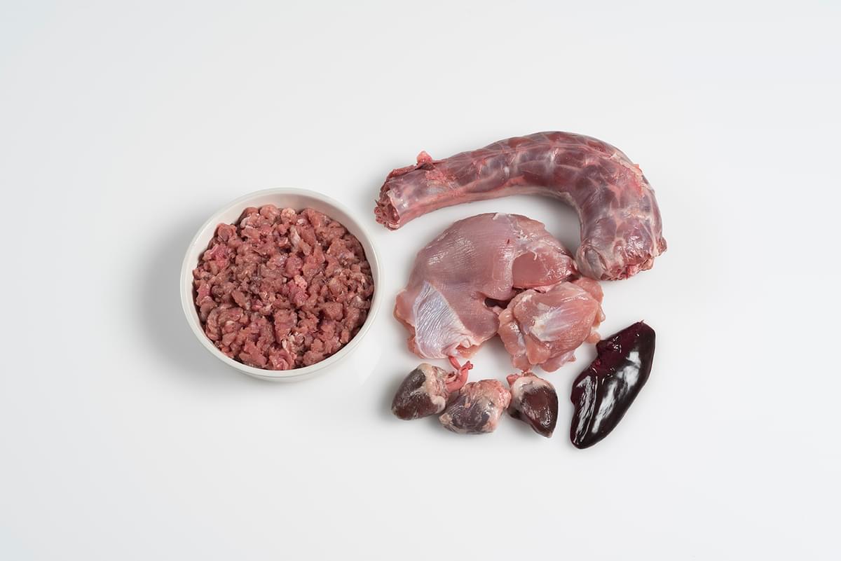 can i give my dog raw ground turkey