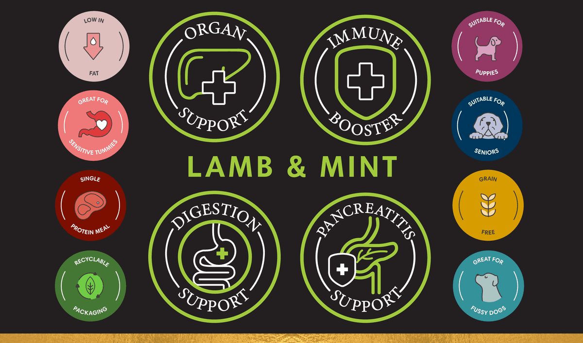 Lamb Mint Paleo Plus PR BANNER