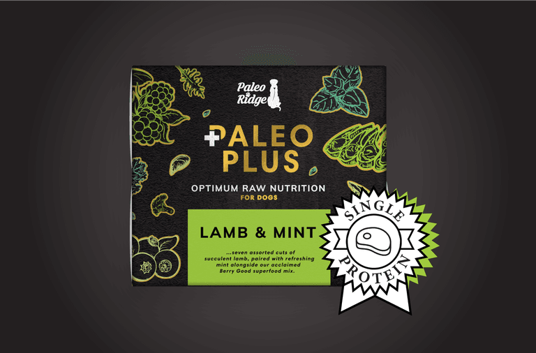 Lamb Mint Paleo Plus PR