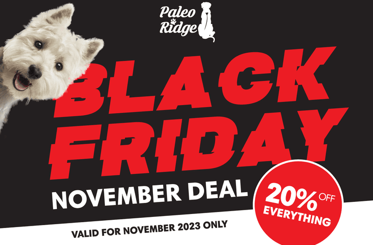 Black friday puppy sale best sale