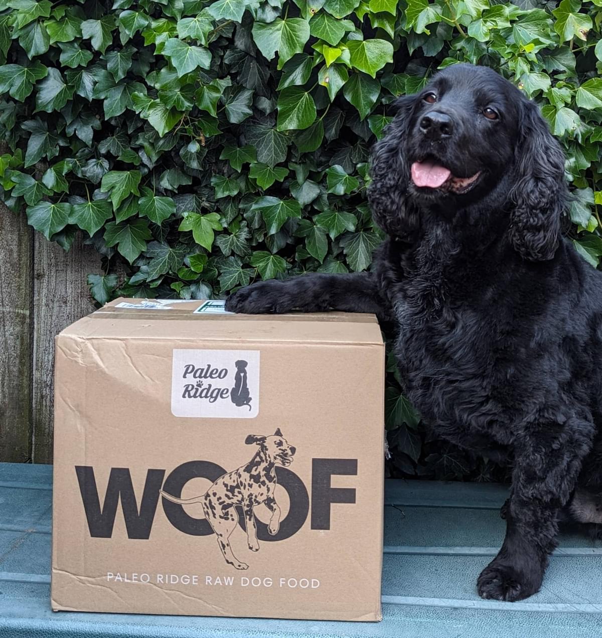 PXL 20240619 185025294 PORTRAIT ORIGINAL