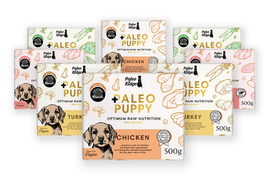 Paleo Puppy