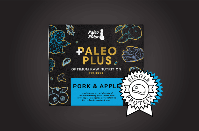 Pork Apple Paleo Plus PR